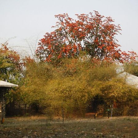 Renest Bandhavgarh Meadows Ξενοδοχείο Tāla Εξωτερικό φωτογραφία