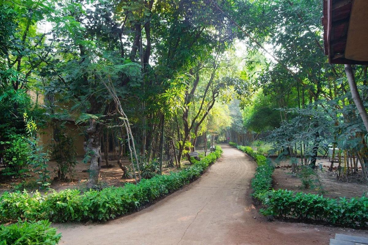 Renest Bandhavgarh Meadows Ξενοδοχείο Tāla Εξωτερικό φωτογραφία