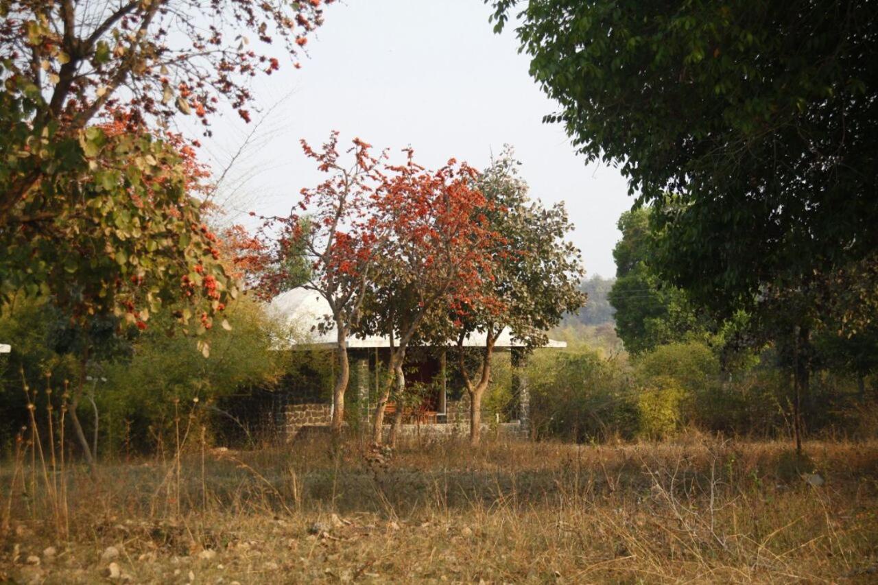 Renest Bandhavgarh Meadows Ξενοδοχείο Tāla Εξωτερικό φωτογραφία