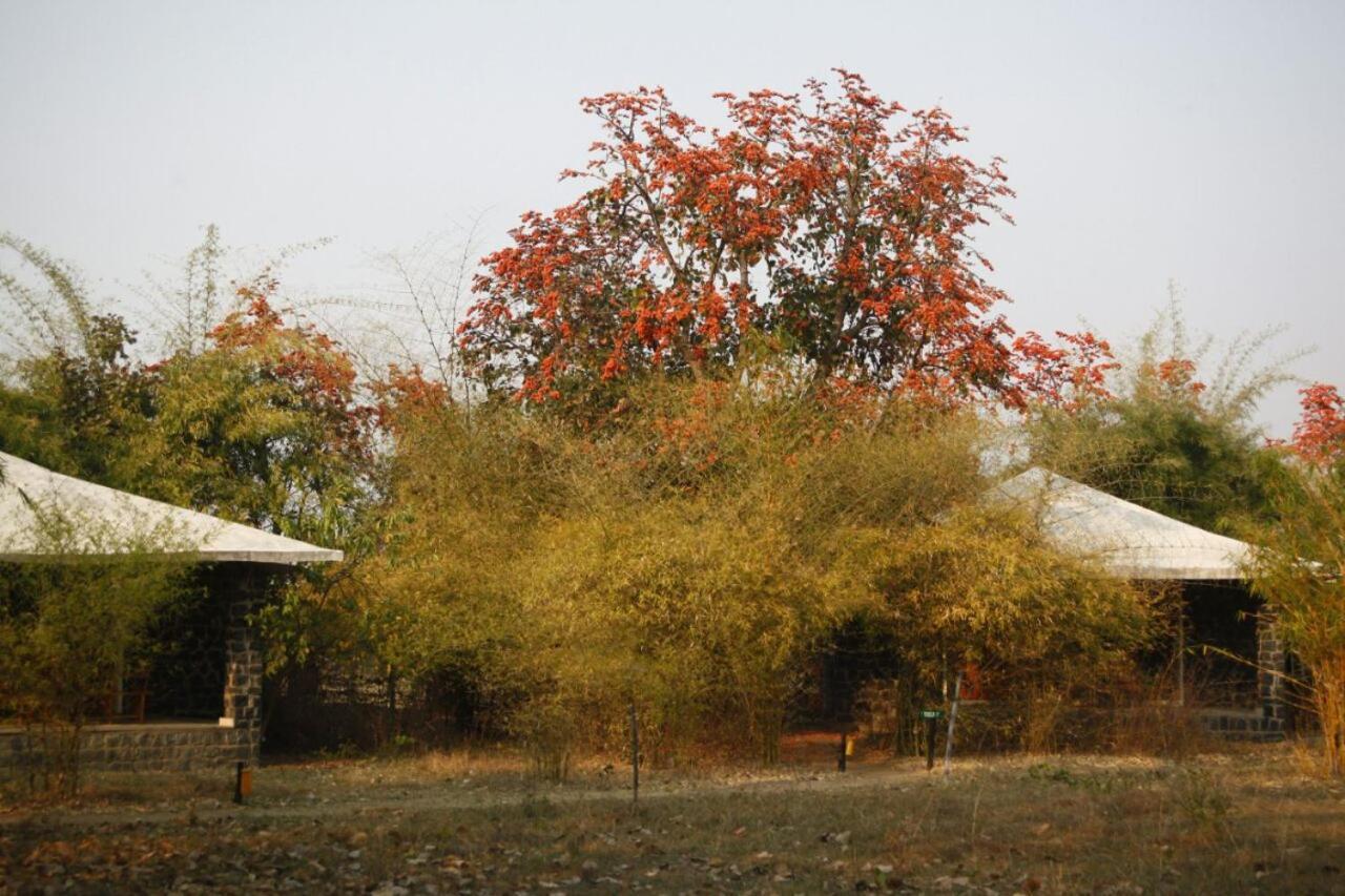 Renest Bandhavgarh Meadows Ξενοδοχείο Tāla Εξωτερικό φωτογραφία